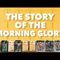 MORNING GLORY